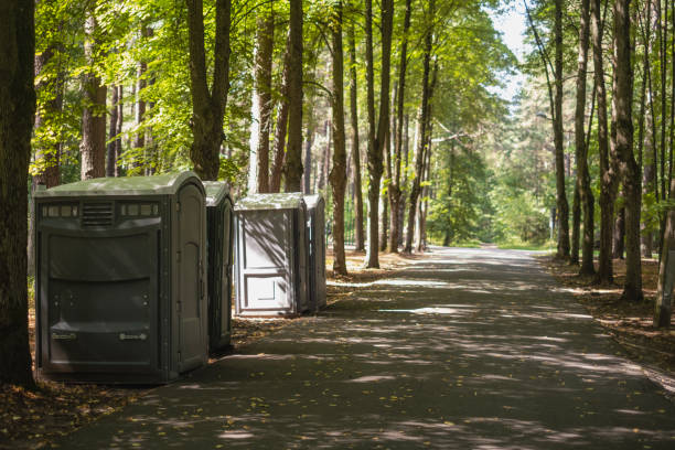 Best Local porta potty services  in Hemlock, MI